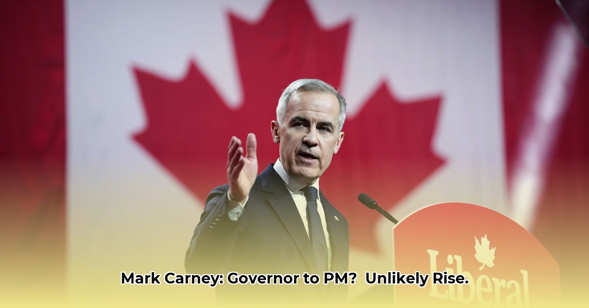 mark-carney-career-timeline